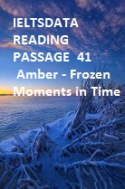 IELTSDATA READING PASSAGE  41 Amber - Frozen Moments іn Time