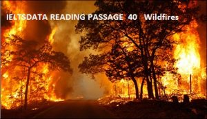 IELTSDATA READING PASSAGE  40   Wildfires