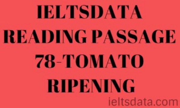 IELTSDATA READING PASSAGE 78-TOMATO RIPENING