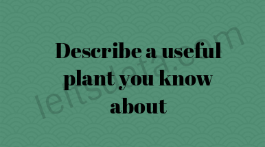 Awesome 10 Describe Rose Flower Cue Card