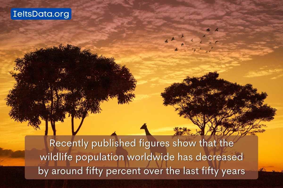 Recently published figures show that the wildlife population worldwide has decreased by around fifty percent over the last fifty years