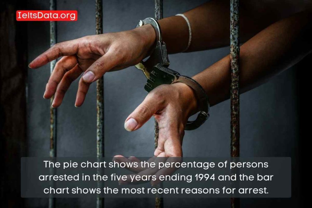 The pie chart shows the percentage of persons arrested in the five years ending 1994 and the bar chart shows the most recent reasons for arrest.