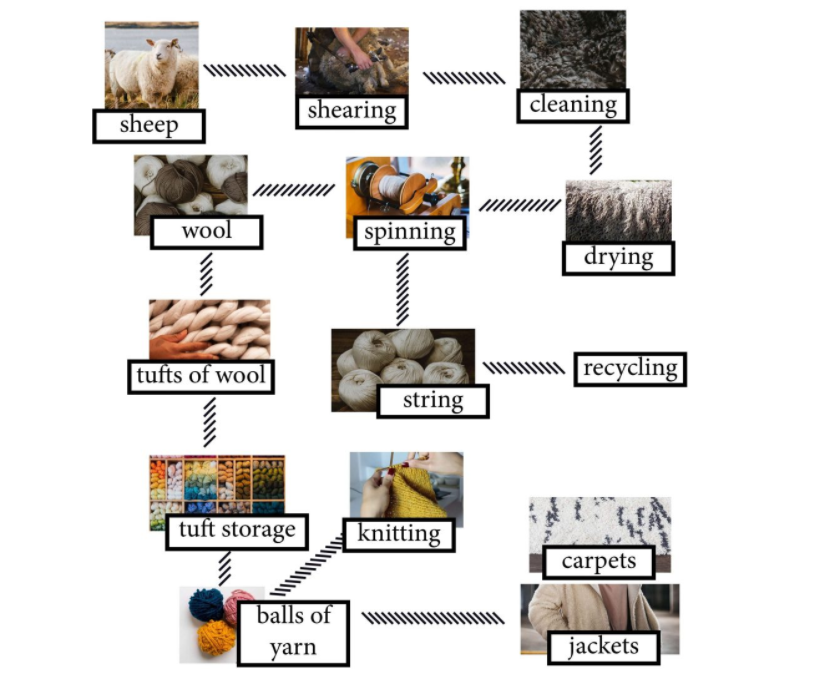 The Diagram Details the Process of Making Wool