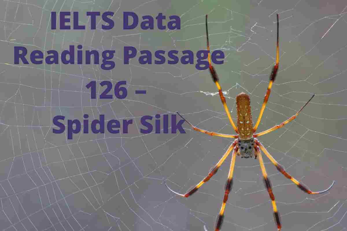 IELTS Data Reading Passage 126 – Spider Silk