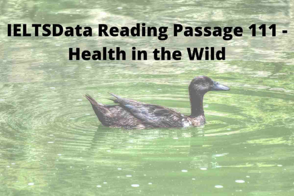 IELTSData Reading Passage 112 - Health in the Wild