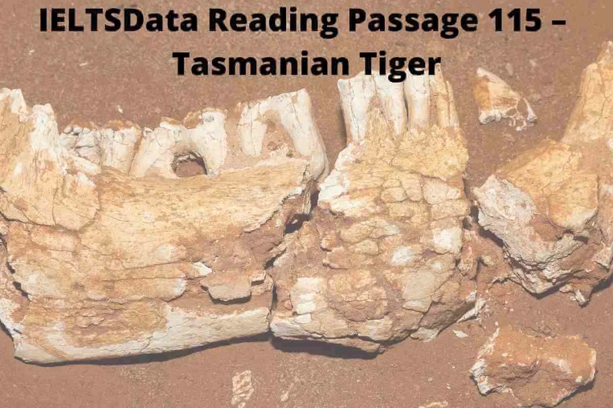 IELTSData Reading Passage 116 – Tasmanian Tiger