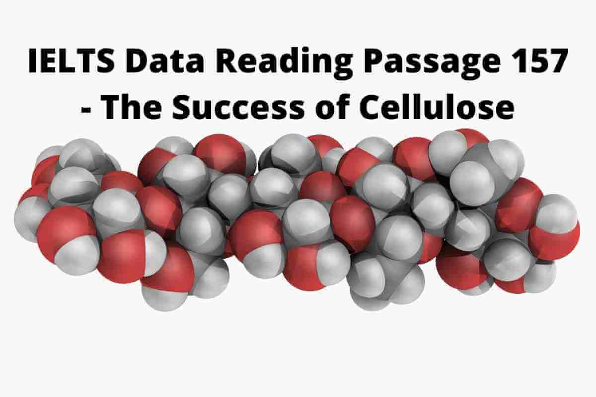 IELTS Data Reading Passage 157 - The Success of Cellulose