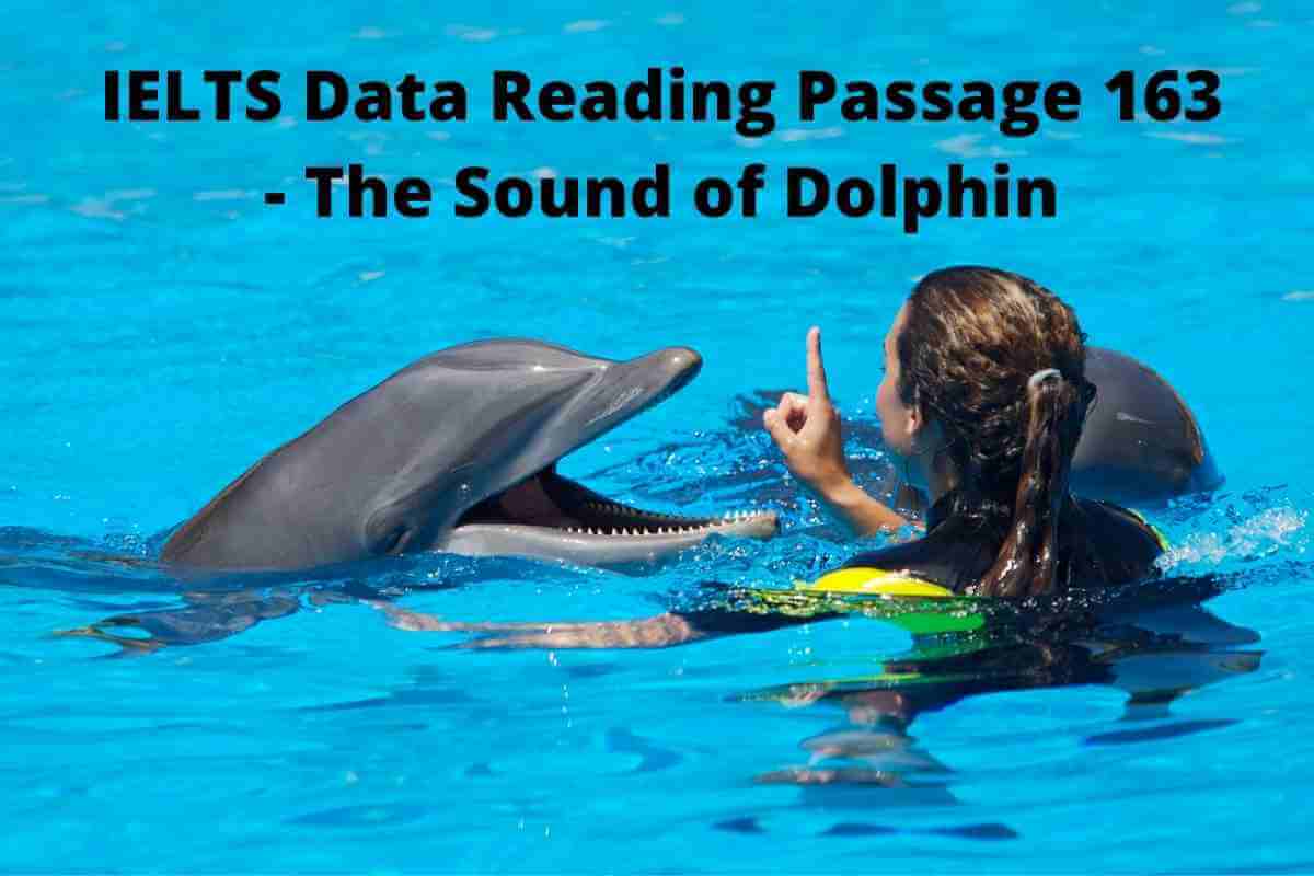IELTS Data Reading Passage 163 - The Sound of Dolphin