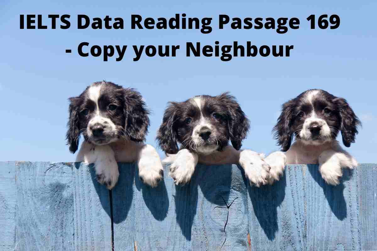 IELTS Data Reading Passage 169 - Copy your Neighbour