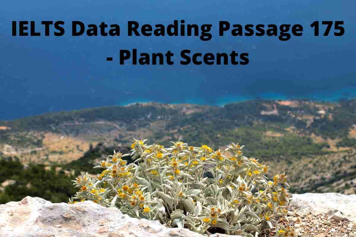 IELTS Data Reading Passage 175 - Plant Scents