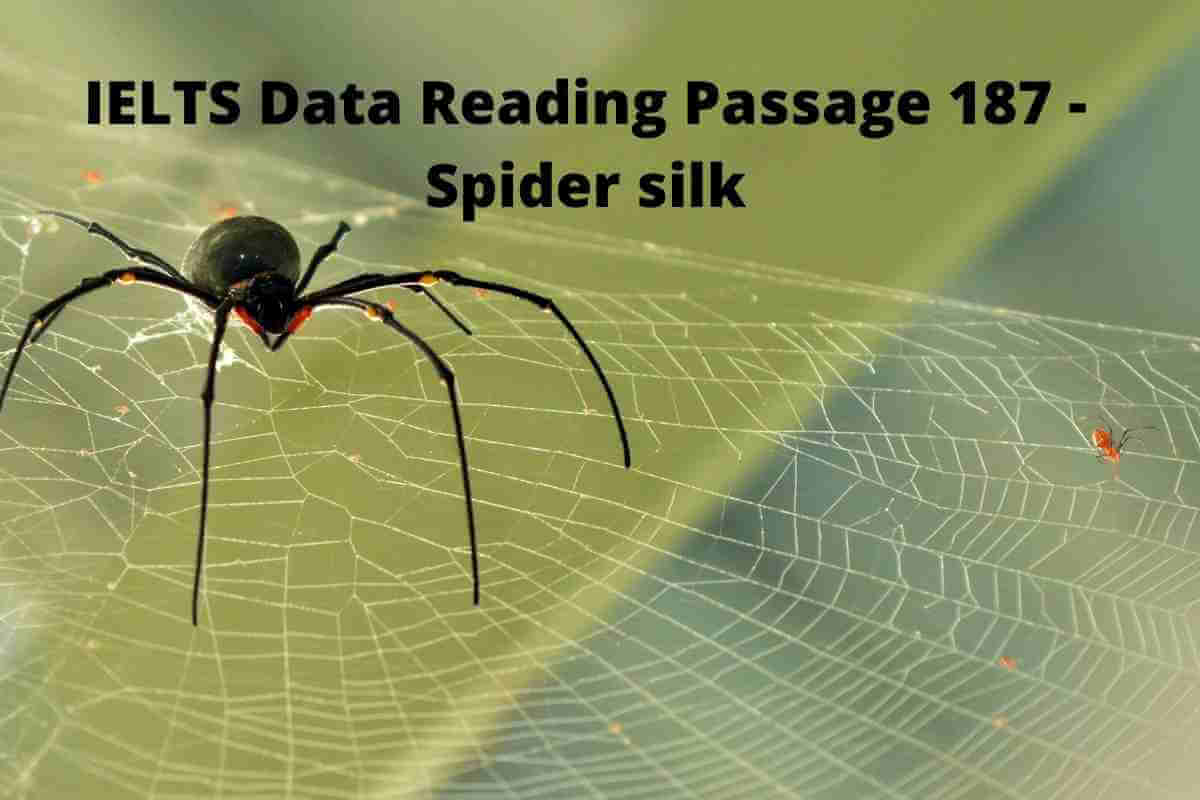 IELTS Data Reading Passage 187 - Spider silk