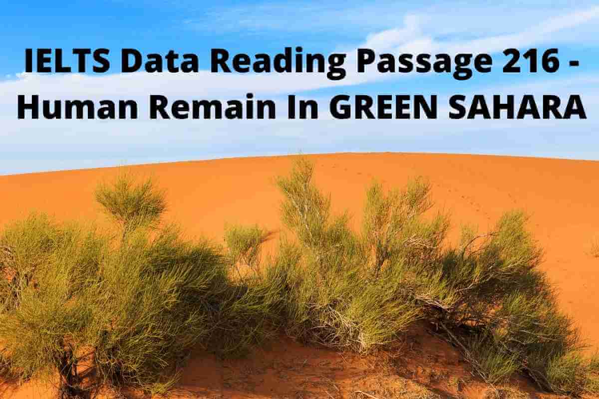 IELTS Data Reading Passage 216 - Human Remain In GREEN SAHARA