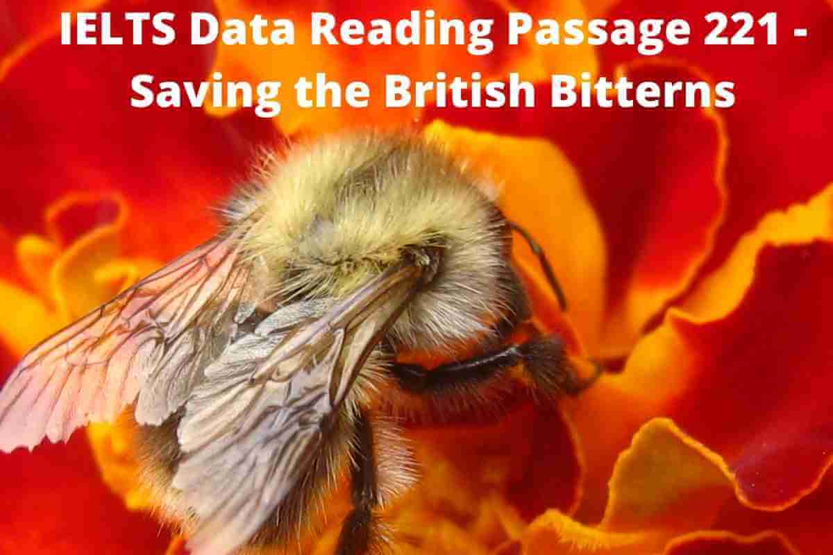 IELTS Data Reading Passage 221 - Saving the British Bitterns