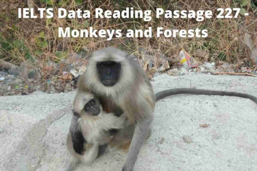 IELTS Data Reading Passage 227 - Monkeys and Forests