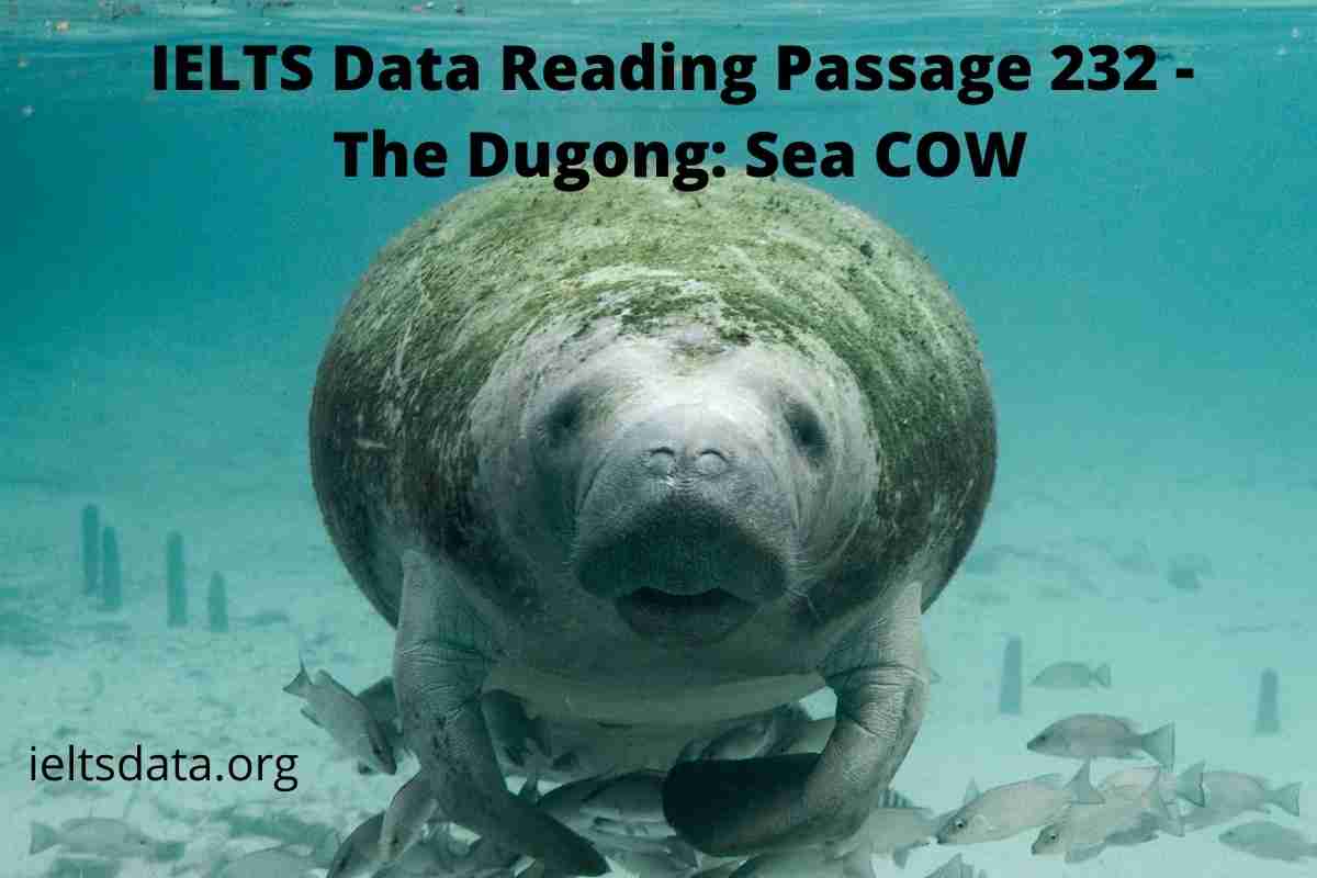 IELTS Data Reading Passage 232 - The Dugong: Sea COW