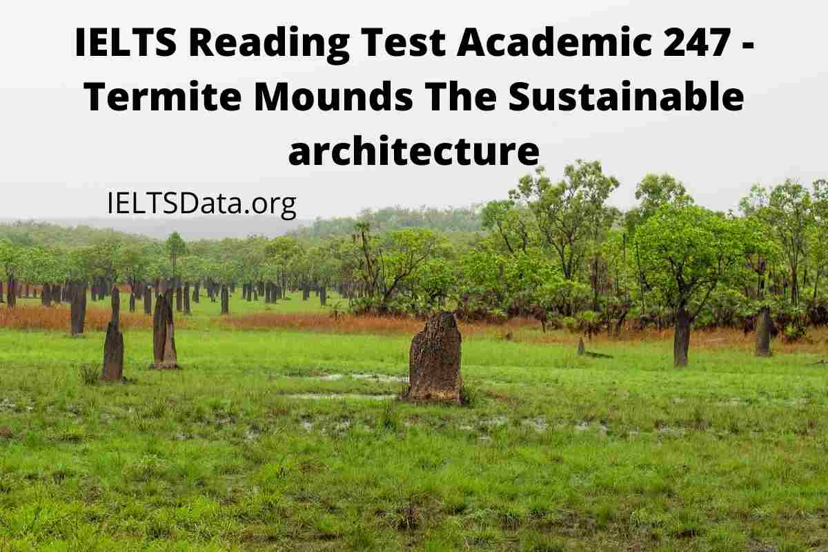 IELTS Reading Test Academic 247 - Termite Mounds The Sustainable architecture
