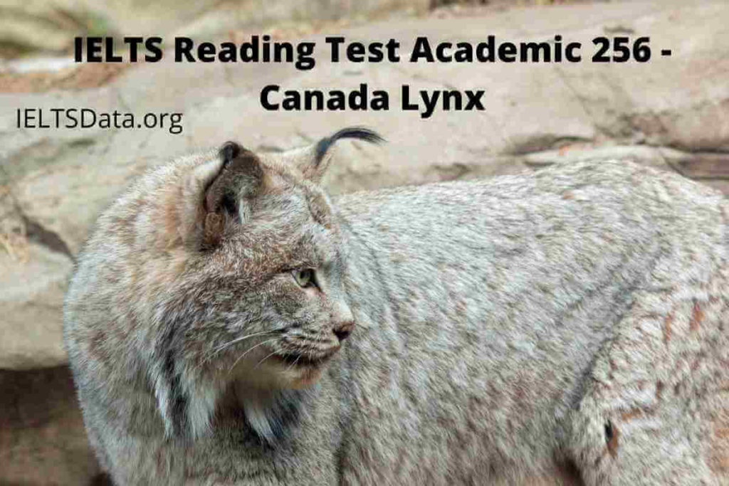 IELTS Reading Test Academic 256 - Canada Lynx
