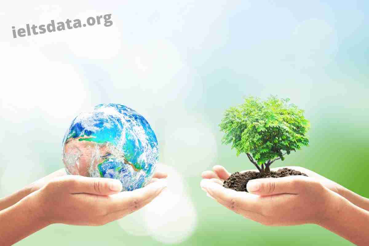 Environmental Problems Such as Pollution and Climate Change Affect All the People in The World (2) (1)