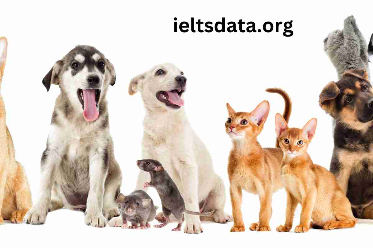 Recent IELTS Speaking Part 1 Questions With Answers Pets and Animals (1200 × 800 px)
