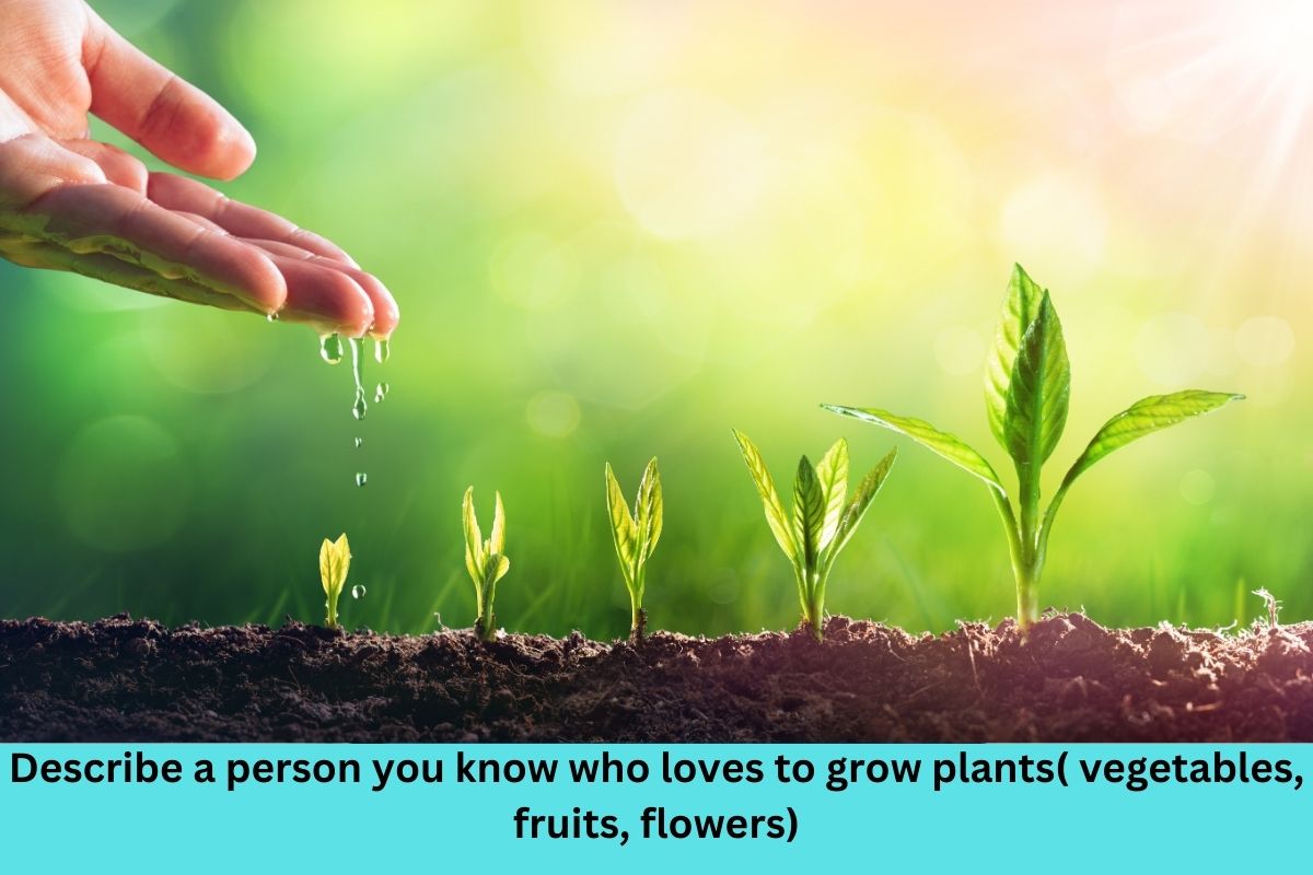 Describe a person you know who loves to grow plants( vegetables, fruits, flowers)
