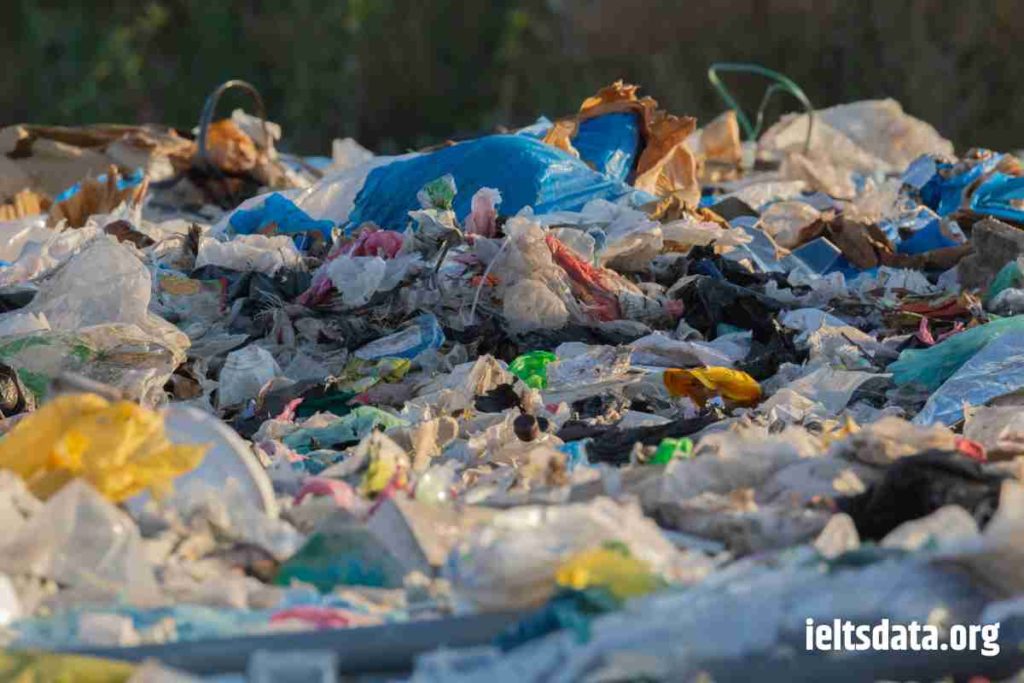 Describe a Time When You Saw a Lot of Plastic Waste (E.g. In a Park, on the Beach, Etc.)