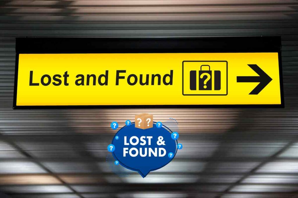 Write a Letter to The Manager of The Lost and Found Department of The Railway Regarding the Luggage