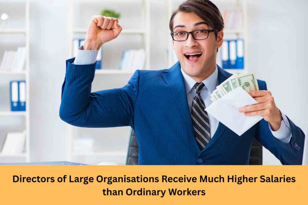 Directors of Large Organisations Receive Much Higher Salaries than Ordinary Workers