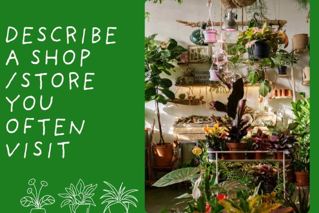 Describe a Shop/store You Often Visit