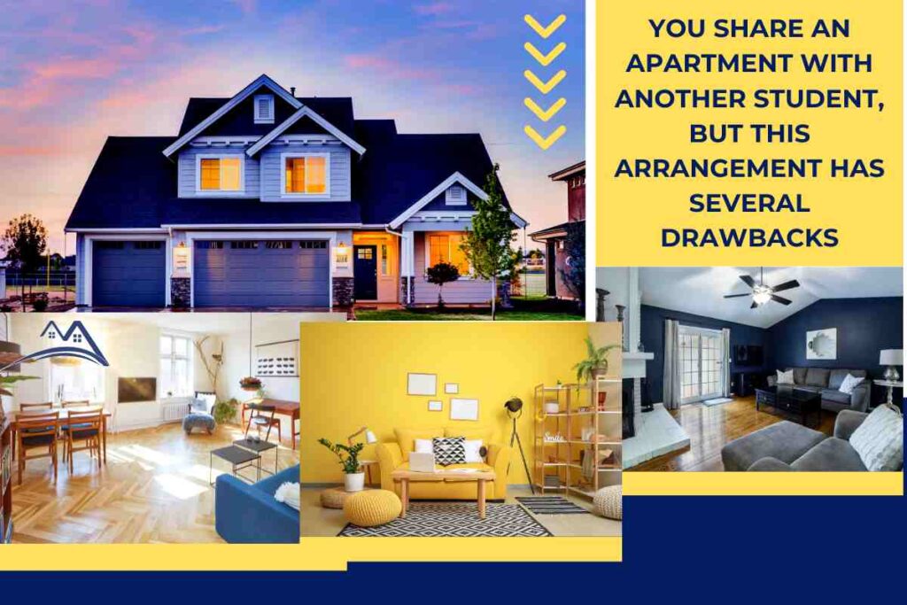 You Share an Apartment with Another Student, but This Arrangement Has Several Drawbacks
